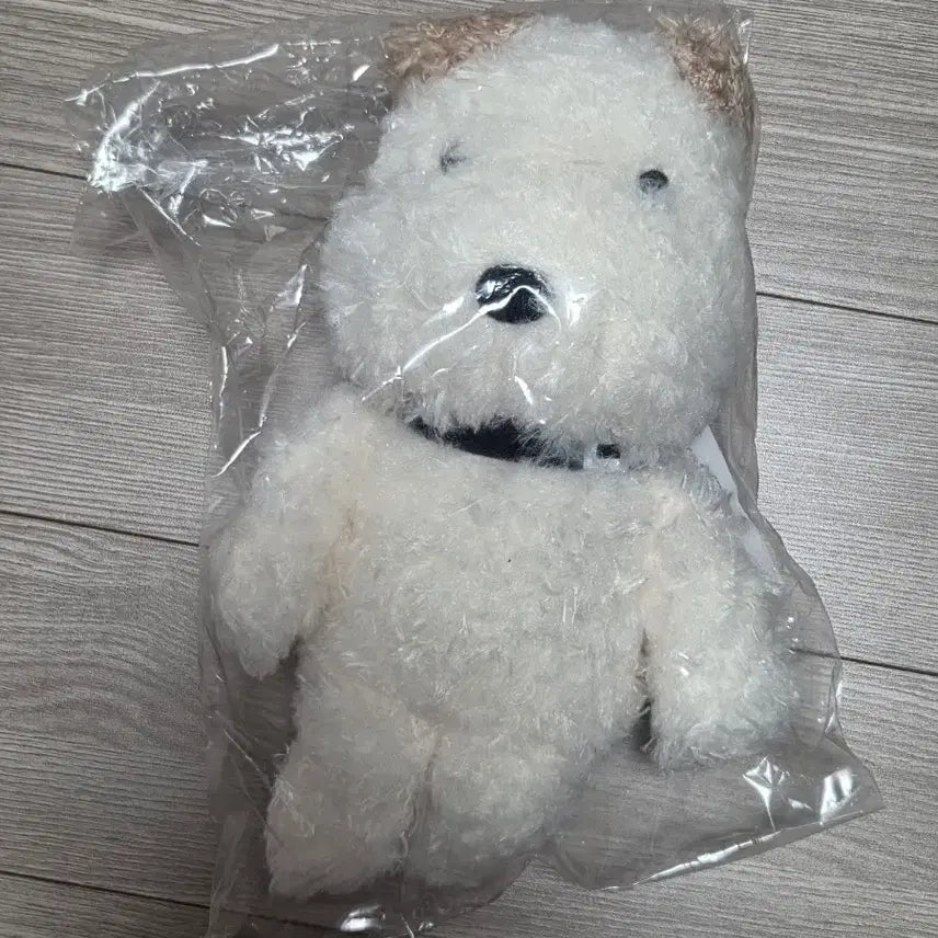 [BUNJANG] ARANZIARANJO Tetsuya Doll Sealed / 아란지아란조 테츠 인형 미개봉