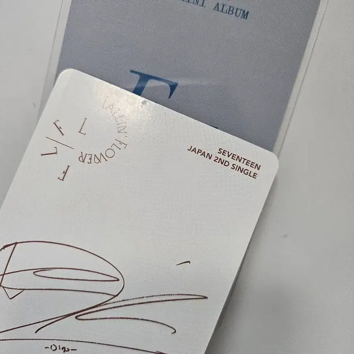 [BUNJANG] Seventeen Dino FML Weverse Shop POB &amp; Falling Flower Photocard Bundle Set / 세븐틴 디노 이 찬 FML 손오공 위버스샵 미공포 &amp;  Falling Flower 폴플 포카 일괄