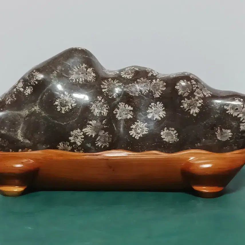 [BUNJANG] Cheongsong Flower Stone (Red Chrysanthemum) / 청송꽃돌(홍국화)