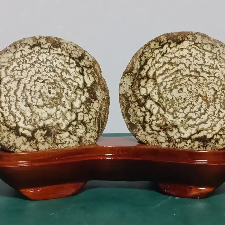 [BUNJANG] Cheongsong Flower Stone (Buldo Hwa) - Ceramic Stand / 청송꽃돌(불도화)