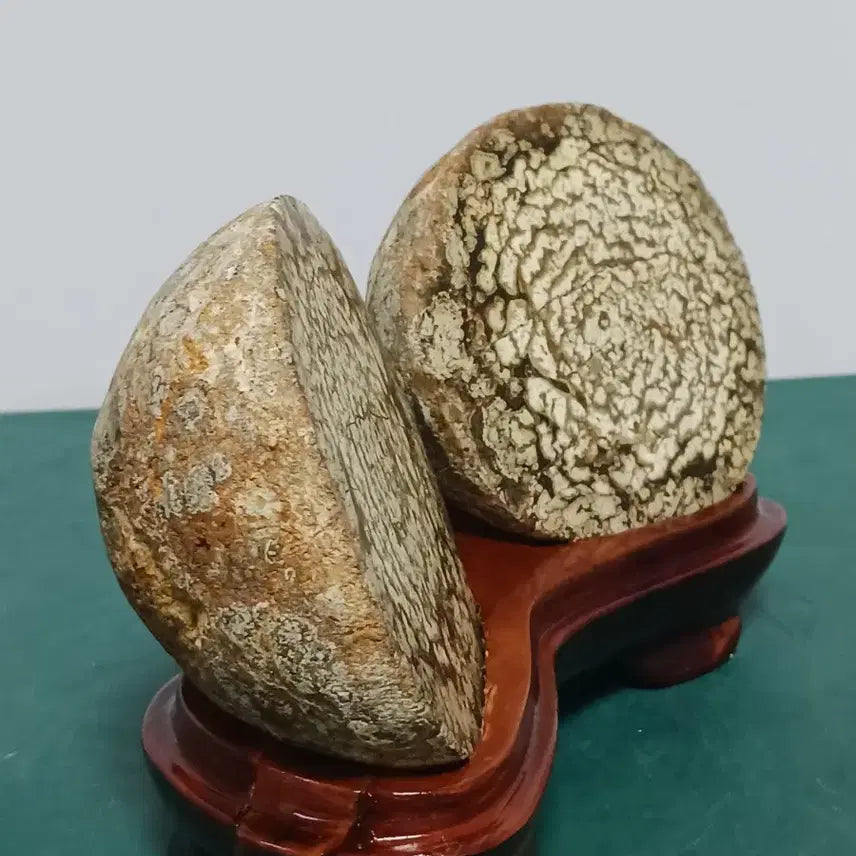 [BUNJANG] Cheongsong Flower Stone (Buldo Hwa) - Ceramic Stand / 청송꽃돌(불도화)