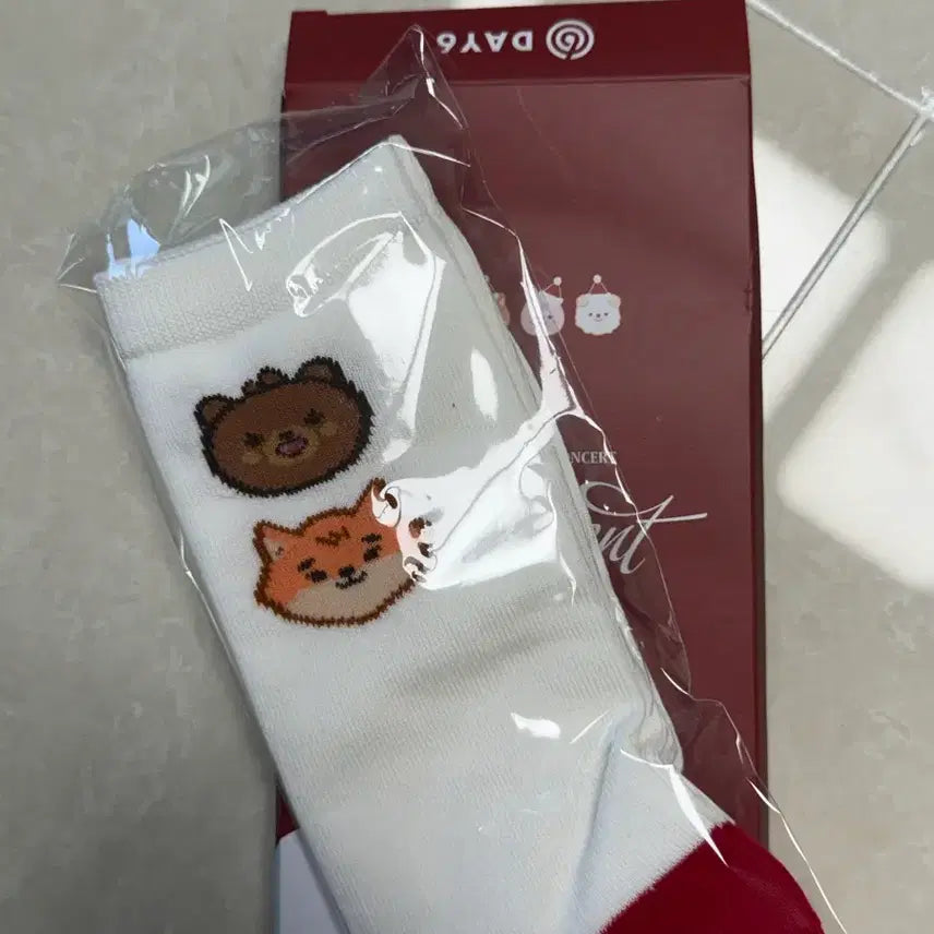 [BUNJANG] Day6 Concert Socks / (미개봉 새상품) 데이식스 day6 클콘 퇴장기프트 양말