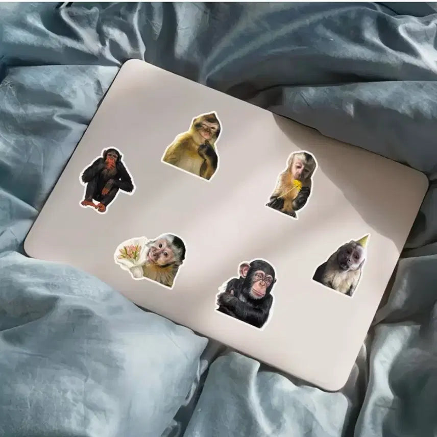 [BUNJANG] Monkey Stickers (40 pcs) / 40장 원숭이맘들 위한 몽키스티커