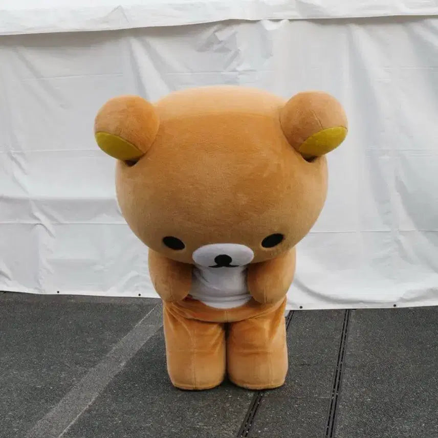 [BUNJANG] Rilakkuma Costume / 양도