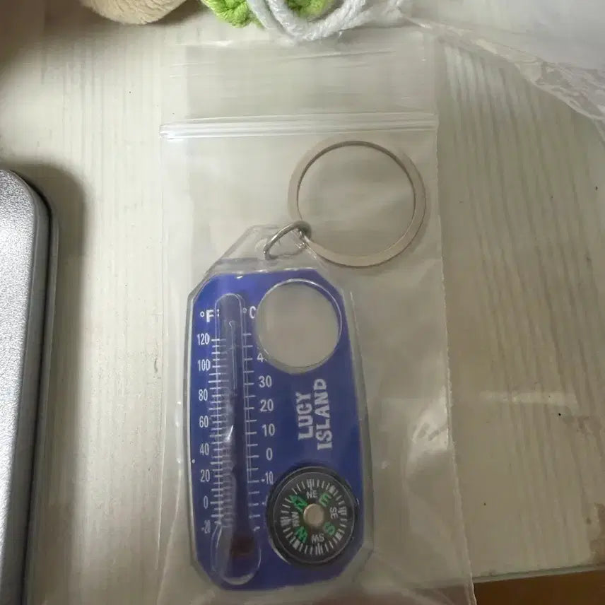 [BUNJANG] Lucy Compass Keyring / lucy 루시 무신사 나침반 키링