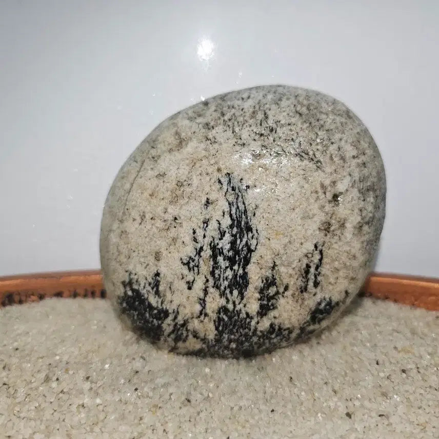 [BUNJANG] Sooseok Forest Pattern Stone - 11 x 10 x 6 cm / 수석 자연석 수림 문양석 크기 11 - 10 - 6