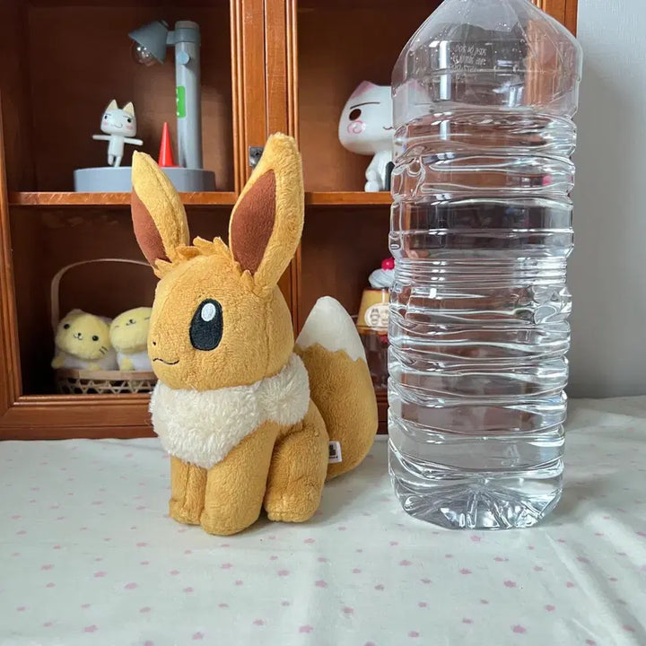[BUNJANG] All-Star Pokémon Eevee Plush Doll / 올스타 포켓몬스터 이브이 인형