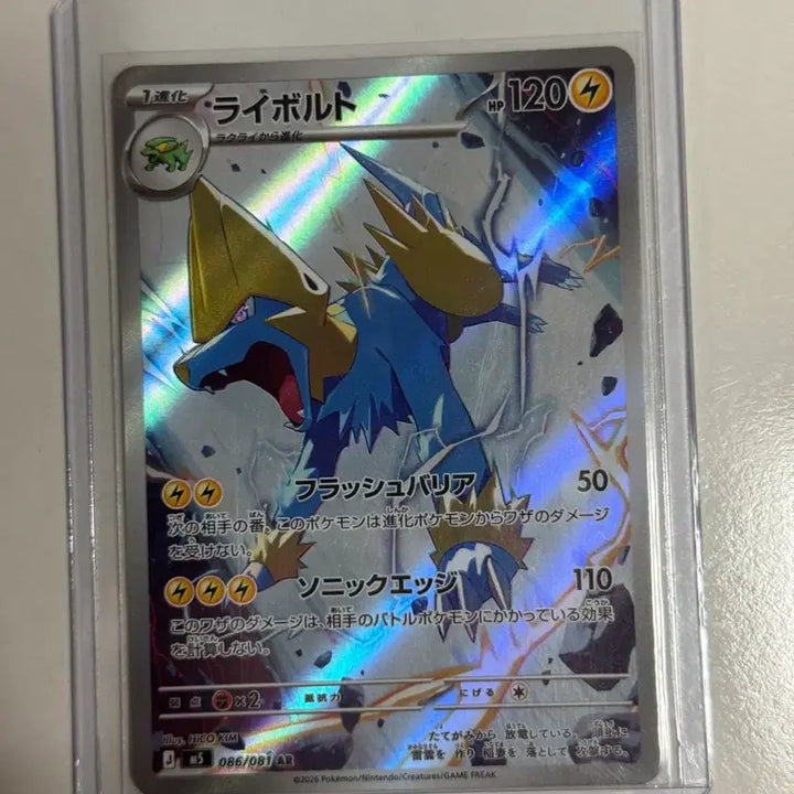 [BUNJANG] Pokemon Card Thunderbolt AR / 포켓몬카드 썬더볼트 ar
