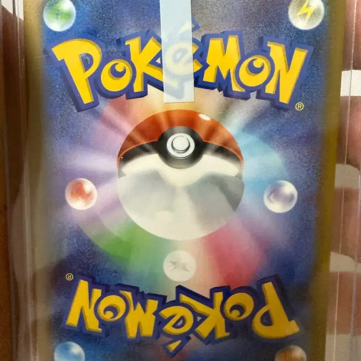 [BUNJANG] Mega Charizard ex Special Illustration Rare Card / 메가리자몽 일판 ma 판매합니다
