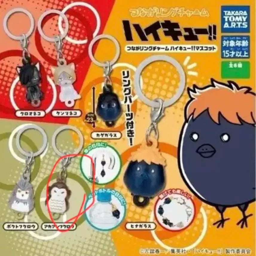 [BUNJANG] Haikyu!! Akaashi Keiji Meijirushi Acrylic Stand (Sealed) / 미개봉 급전 하이큐 메지루시 아카아시