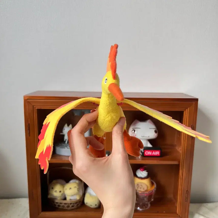 [BUNJANG] Pokemon Fire Doll / 포켓몬스터 파이어 인형