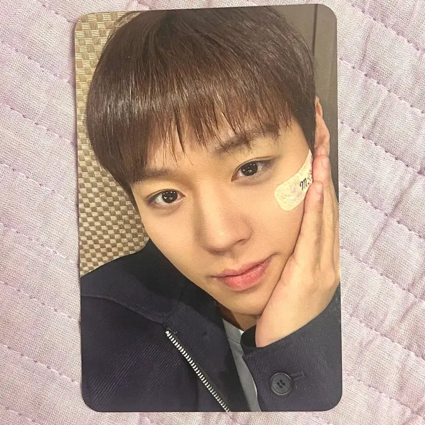 [BUNJANG] Park Ji Hoon Japan Fancon Concert Reflect VIP Entry Photocard / 박지훈 일본 팬콘 콘서트 리플렉트 VIP 입장 포카