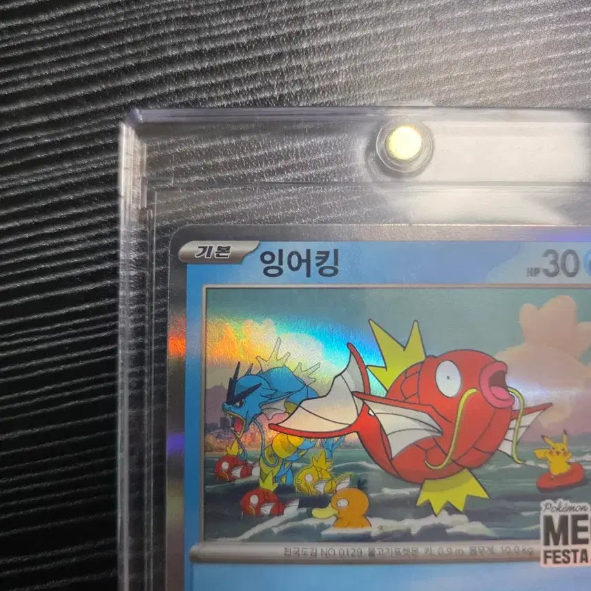 [BUNJANG] Magikarp Promo Card / 잉어킹프로모 카드