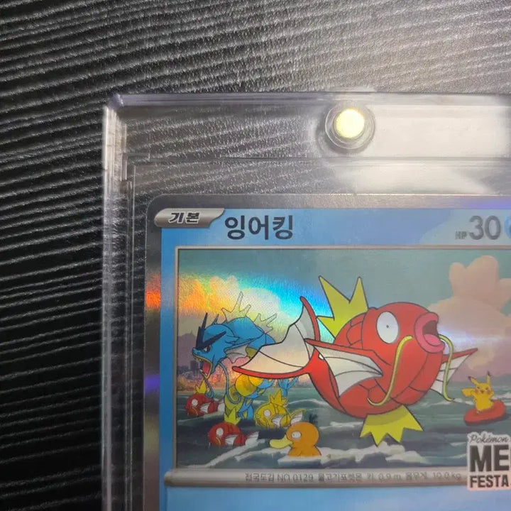 [BUNJANG] Magikarp Promo Card / 잉어킹프로모 카드