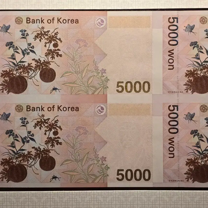 [BUNJANG] 2013 5,000 KRW Banknote AAA Serial Uncirculated Consecutive Set / 2013년 발행 5천원권 AAA 초번호 4매 연결권 미사용