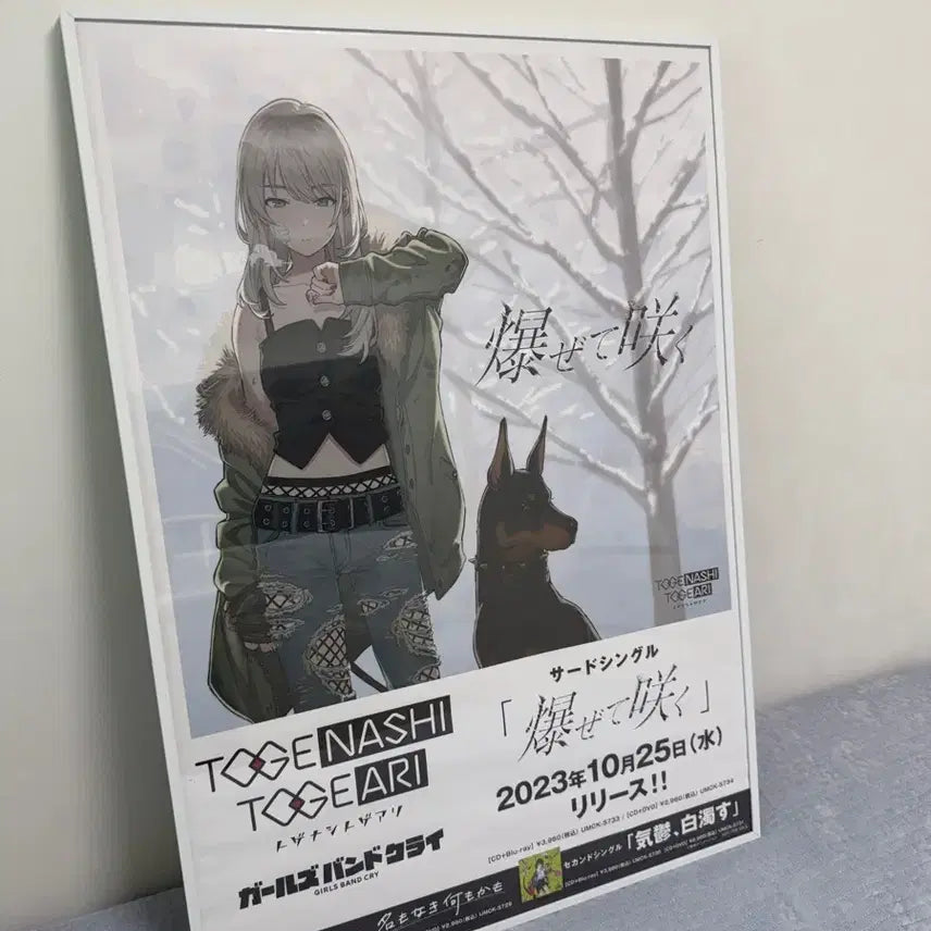 [BUNJANG] BanG Dream! Girls Band Party! B2 Poster Set / (일괄) 밴드 크라이 B2 포스터 5종 세트