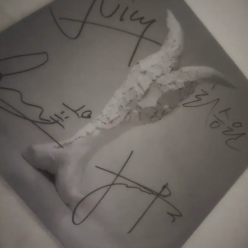 [BUNJANG] Nerd Connection LP Signed Edition / 너드커넥션 lp 친필 사인반