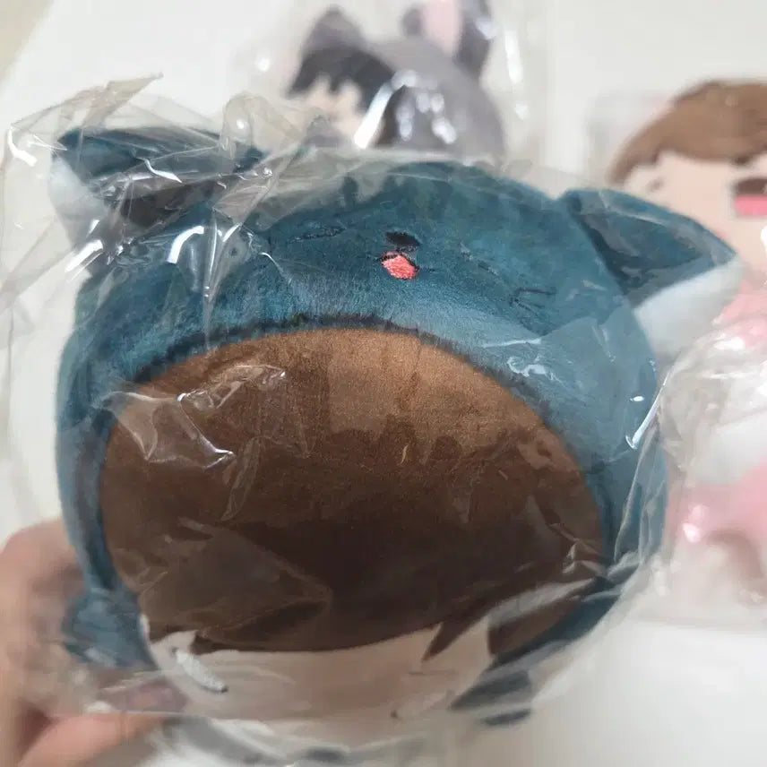 [BUNJANG] Haikyuu!! Futakuchi Kenji Custom Cat Plush Doll / 고양이 후타쿠치 켄지 하이큐 속성 솜인형