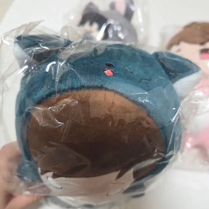 [BUNJANG] Haikyuu!! Futakuchi Kenji Custom Cat Plush Doll / 고양이 후타쿠치 켄지 하이큐 속성 솜인형