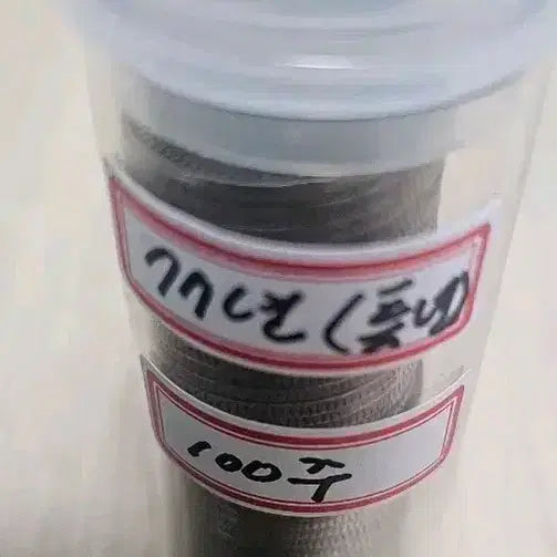 [BUNJANG] 1977 Special Year 100 Won Coins (49 Pieces) / (사용제) 특년도 1977년 100주 주화 49개