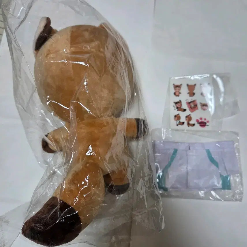 [BUNJANG] Haikyu!! Matsukawa Issei Anime Plush Doll / 여우 마츠카와 맛층 세이죠 하이큐 속성 솜인형