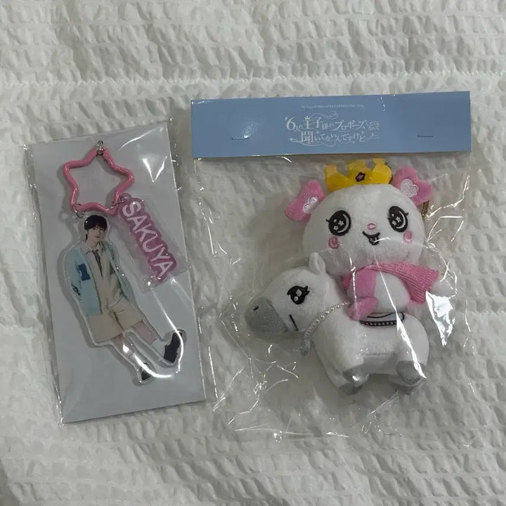 [BUNJANG] NCT WISH Sakuraya Baimadoll Acrylic Keyring (Japan Fanmeeting) / (미개봉현물) 엔시티위시 nct wish 일본팬미팅 백마돌 팡이 사쿠야 키링