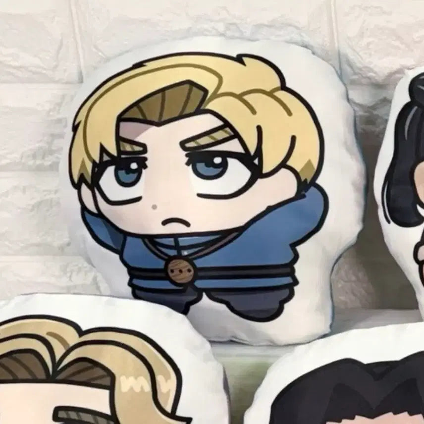 [BUNJANG] Lapau Cushion / 라파우 쿠션