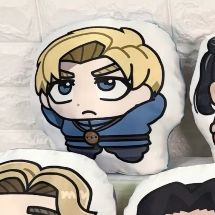 [BUNJANG] Lapau Cushion / 라파우 쿠션