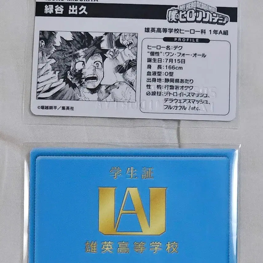 [BUNJANG] My Hero Academia Izuku Midoriya 25th Birthday Card + UA Student ID Bundle / 히로아카 미도리야 이즈쿠 25년 버스데이카드+ua학생증