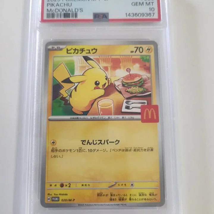 [BUNJANG] Pokemon Pikachu Graded Cards Bundle / 포켓몬 피카츄 등카 판매합니다