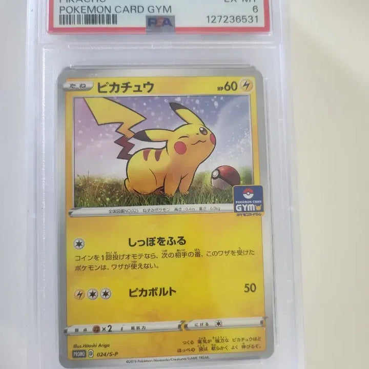 [BUNJANG] Pokemon Pikachu Graded Cards Bundle / 포켓몬 피카츄 등카 판매합니다