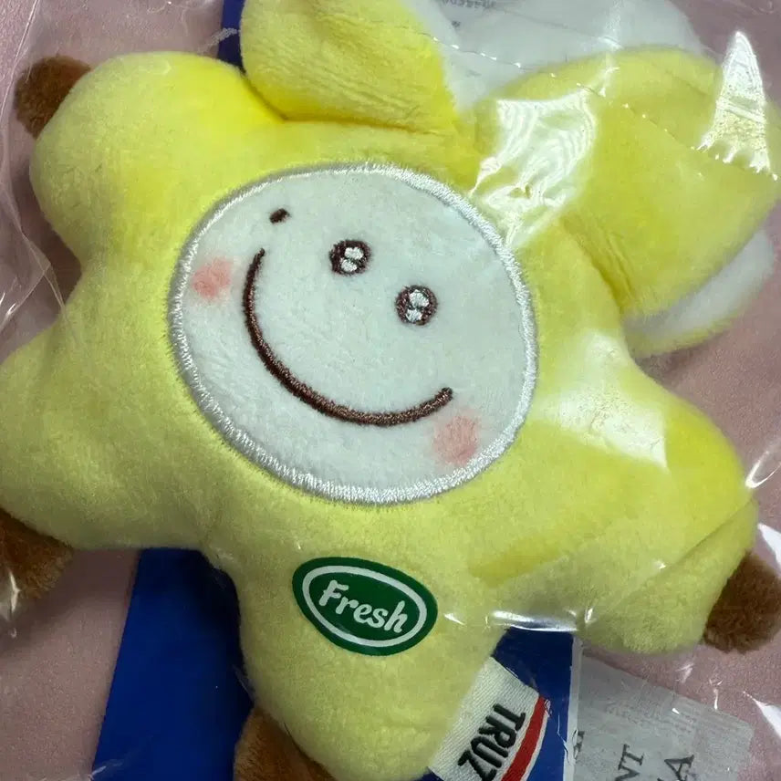 [BUNJANG] TREASURE Jihoon Romy Fruit Plush Keychain / 과일 트루즈 TRUZ TREASURE 지훈 로미 romy 인형 키링