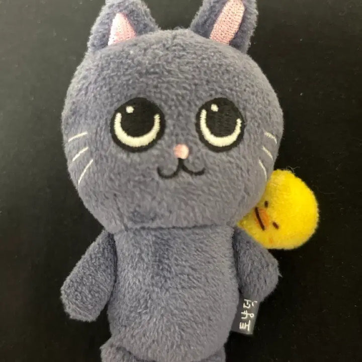 [BUNJANG] RIIZE Wonbin Little RIIZE LyRiiZ Baby Toy Cat Plush 8cm / 라이즈 원빈 리틀라이즈 리라즈 베이비 토냥덕 8cm 양도