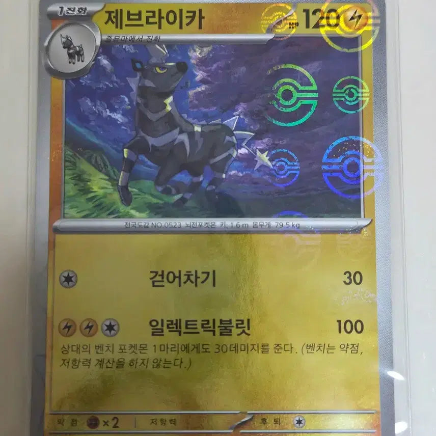 [BUNJANG] Pokemon Card Jumma, Zebstrika Moncol / 포켓몬 카드 줄뮤마, 제브라이카 몬볼