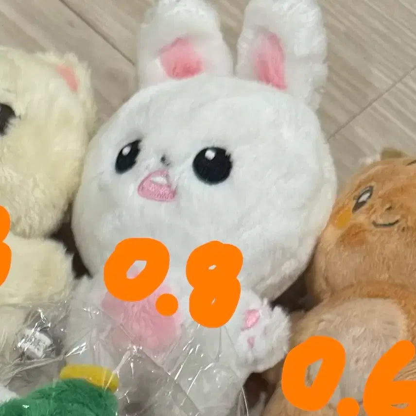 [BUNJANG] Bunny Ning Photocard / 버니녕