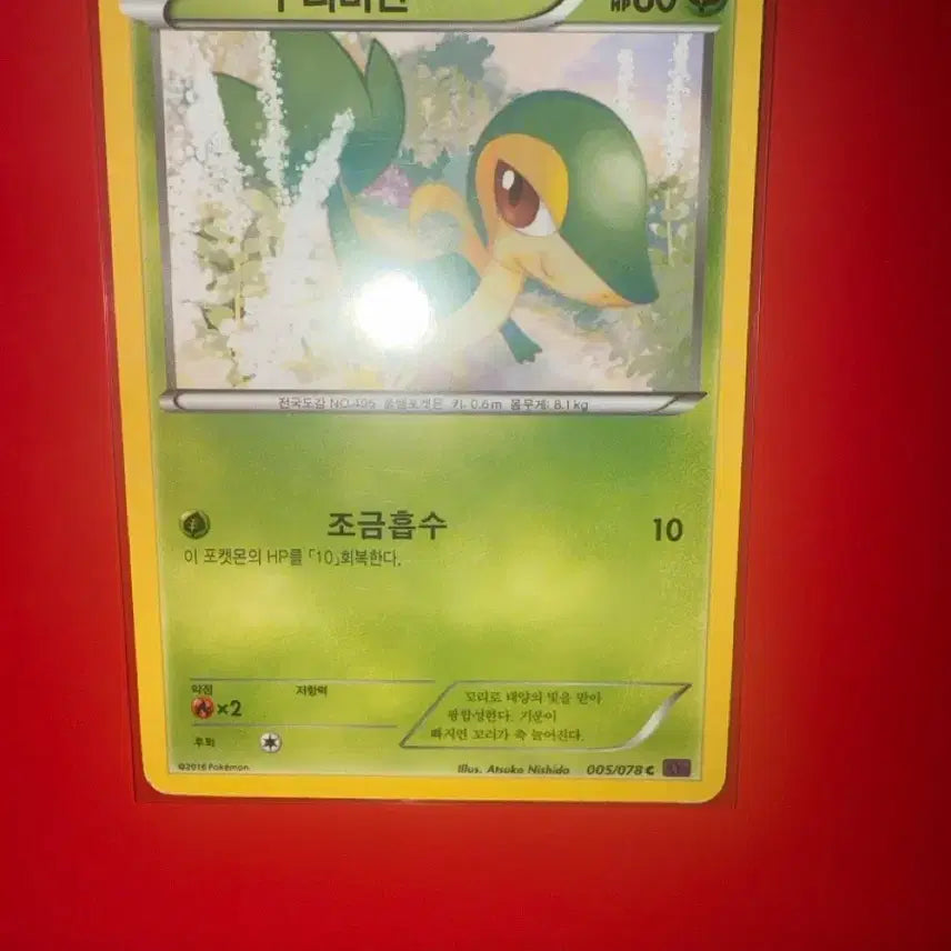 [BUNJANG] Pokemon Card Jurribiyan XY Ancient Card / 포켓몬카드 주리비얀 XY 고대 카드