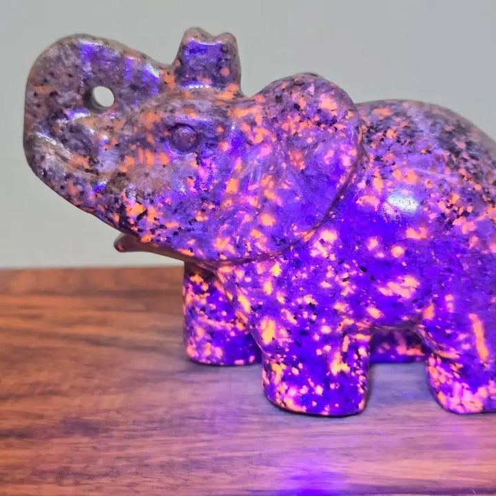 [BUNJANG] Yooperlite Elephant Stone Carving / 26072108 신비로운 광물 요퍼라이트 코끼리 수석 팝니다