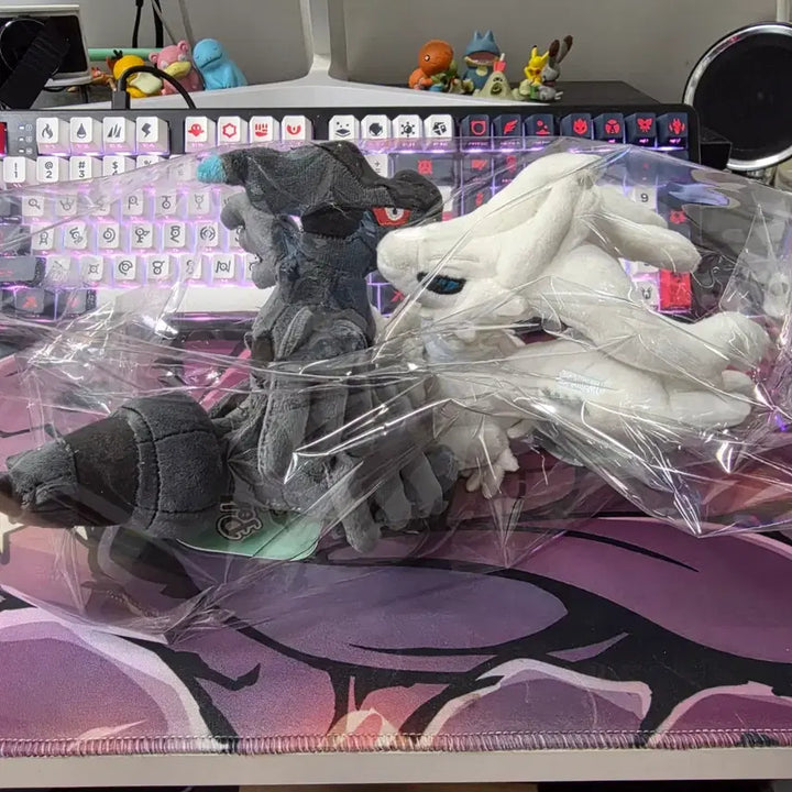 [BUNJANG] Pokemon Fit Reshiram, Zekrom Plush Bundle Set / (새상품/일괄) 포켓몬 fit 레시라무, 제크로무 봉제인형