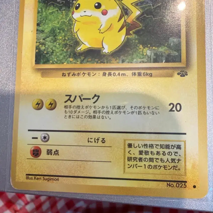 [BUNJANG] Pokemon Card Pikachu Old Back 3-Set (Sunset Chu, Jungle Chu) / 포켓몬카드 피카츄 올드백 3종 세트 노을츄 정글츄