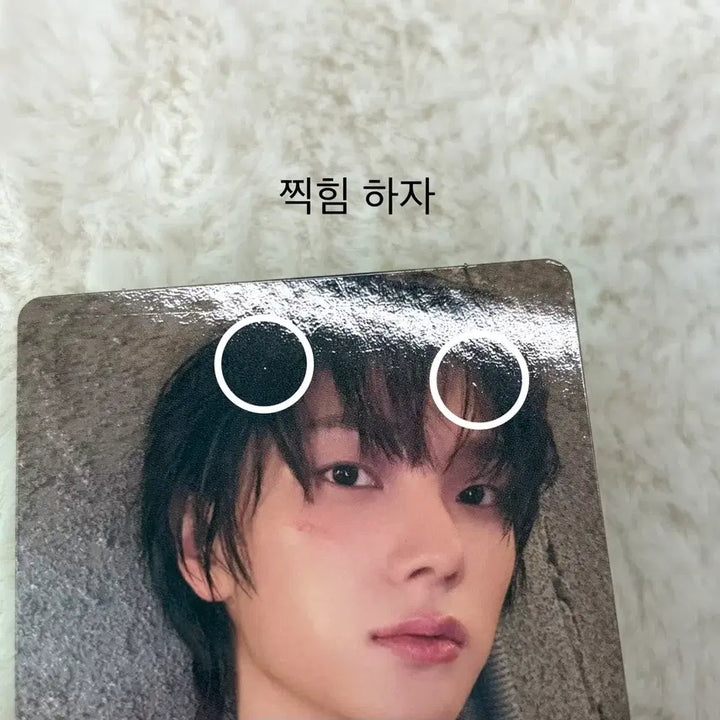 [BUNJANG] BOYNEXTDOOR Sung Ho No Genre Photocard / 보넥도 성호 포카 노장르 앨범