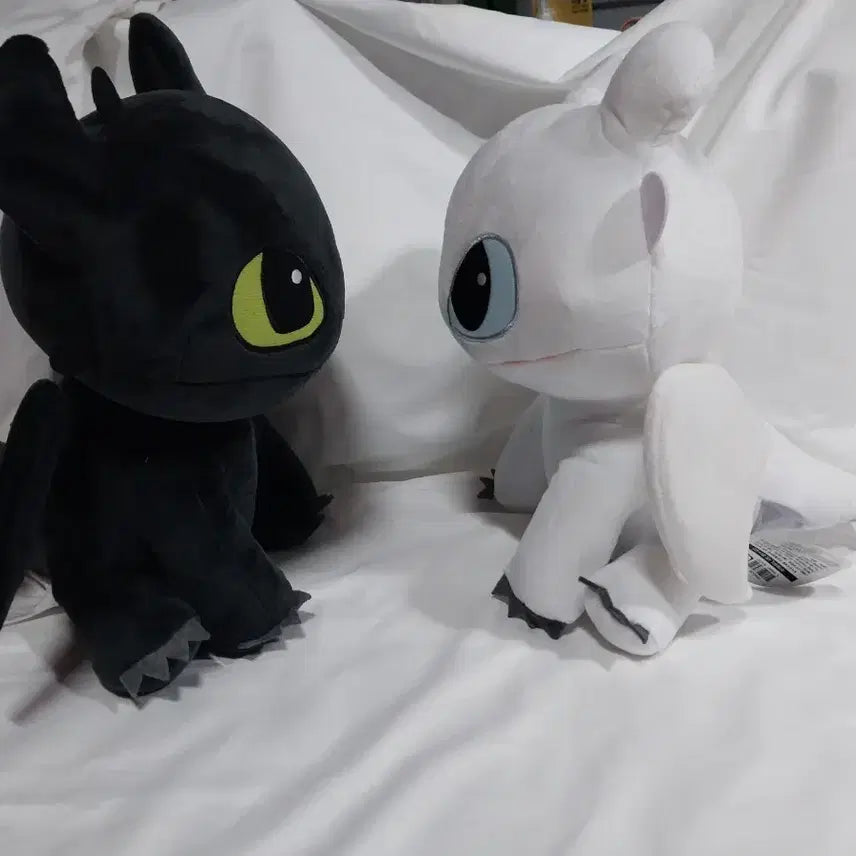 [BUNJANG] How to Train Your Dragon Toothless &amp; Light Fury Medium Plush Set (2 Types) / 새제품 투슬리스 중형 인형 2종 일괄 라이트퓨리 드래곤 길들이기