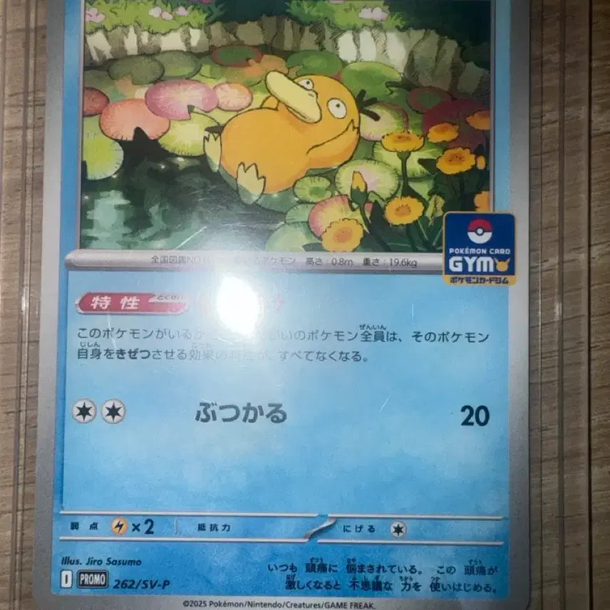 [BUNJANG] Golduck Gym Promo Pokemon Card / 등급용)고라파덕 짐프로모 포켓몬카드