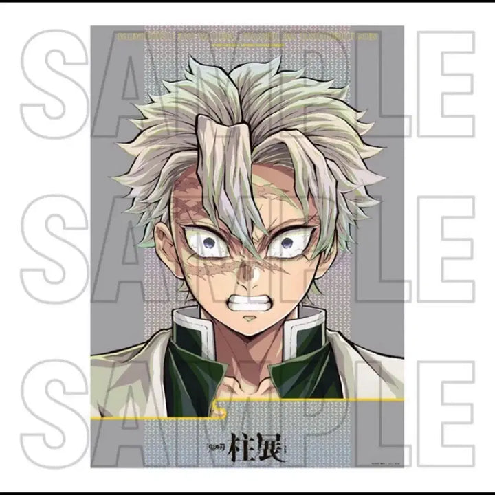[BUNJANG] Demon Slayer Sanemi Shinazugawa B2 Premium Poster / <미개봉>귀멸의칼날 하시라전 B2 대형 프리미엄 포스터 사네미