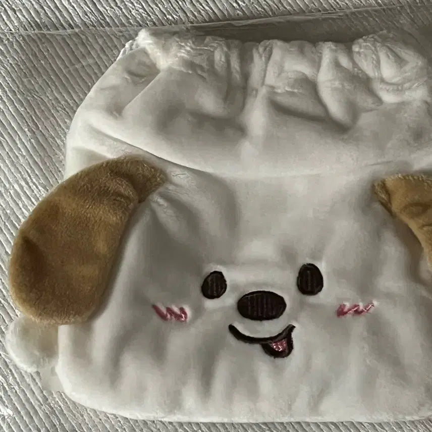 [BUNJANG] RIIZE Menglongi Pouch Anton (Sealed) / 미개봉) 라이즈 멍룡이 파우치 앤톤