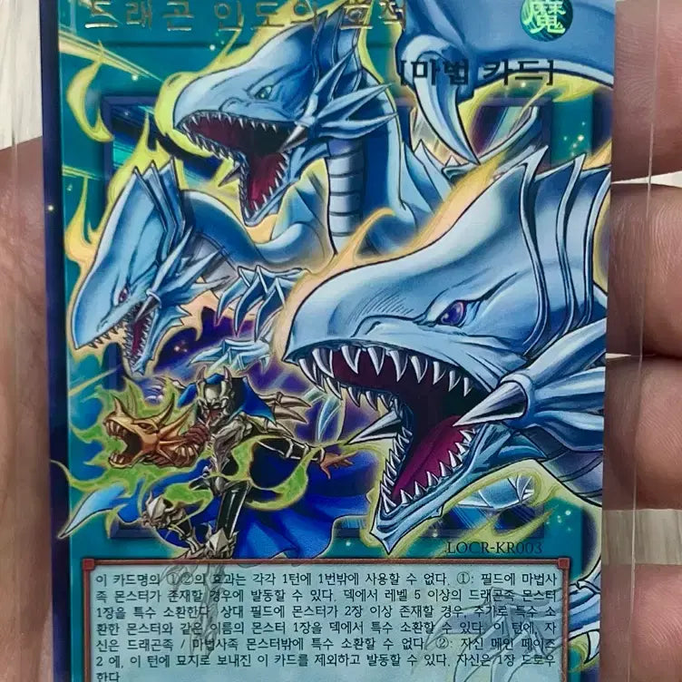 [BUNJANG] Dragon Indo Hojeok Overoul / 드래곤 인도의 호적 오버울레