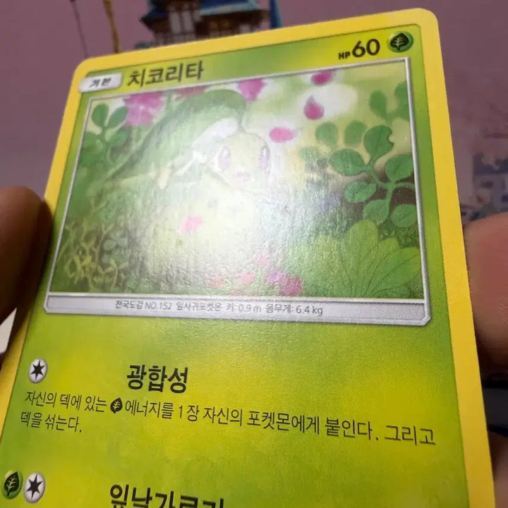 [BUNJANG] Pokemon Card Chikorita 2018 Album Version / 포켓몬카드 2018 치코리타 앨범용