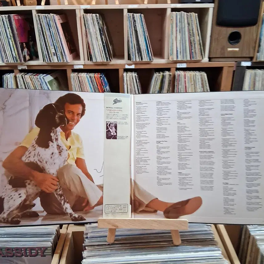 [BUNJANG] Julio Iglesias Moments Album LP / 훌리오 이글레시아스 Moments 앨범 LP