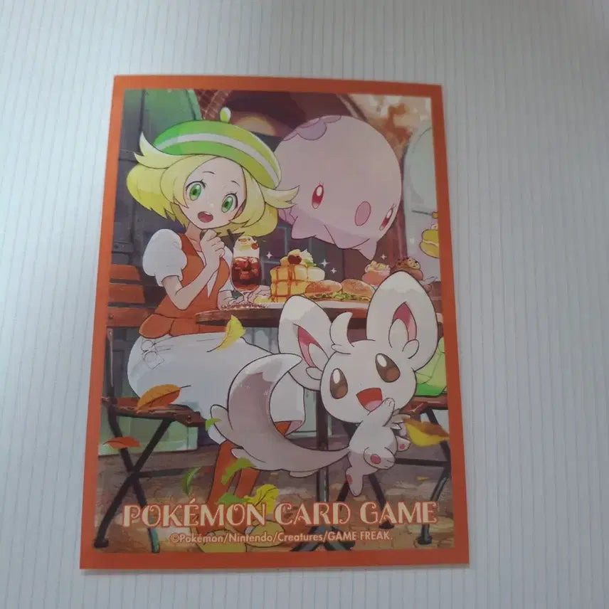 [BUNJANG] Charizard EX SAR Card (Grading Scale) / 메가리자몽SR(등급용)