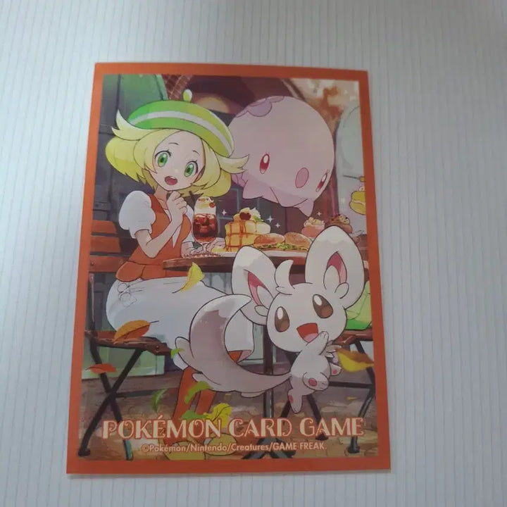 [BUNJANG] Charizard EX SAR Card (Grading Scale) / 메가리자몽SR(등급용)