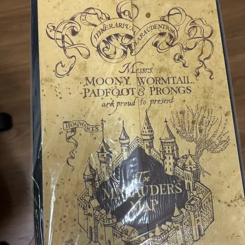 [BUNJANG] Harry Potter Marauder&